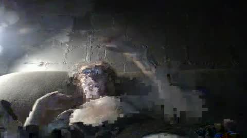 babyxxxangel online show from September 23, 12:43 pm