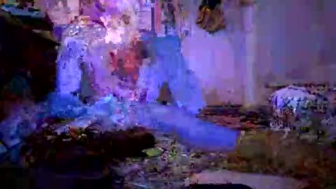 baconparma online show from October 11, 6:44 pm