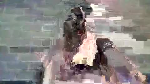 Chaterlain online show from January 10, 11:54 am