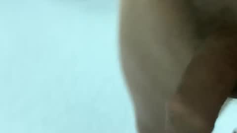 bambratishka online show from October 22, 7:04 pm