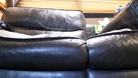 baobabtree8969462 online show from April 29, 1:38 pm