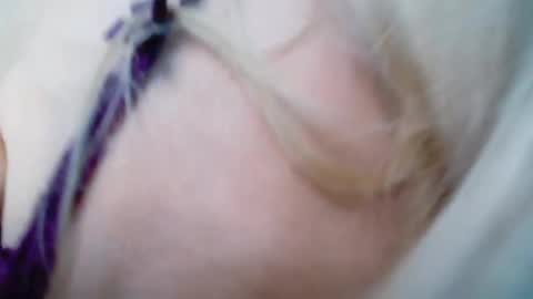 Barbi Bentley online show from November 15, 9:33 am