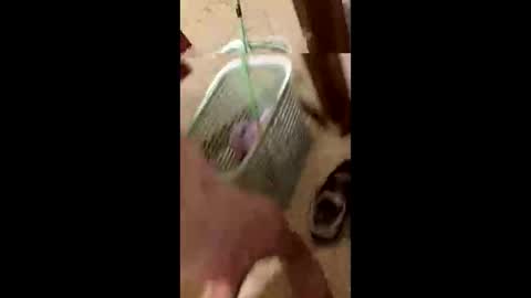 barkley314 online show from November 16, 10:17 am