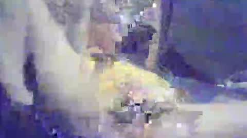 bartbartek online show from May 16, 5:33 pm