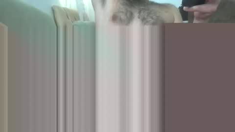 Snapshot of bathoneacock chatting on March 2, 8:16 am bathoneacock online show from March 2, 8:16 am