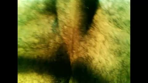 bayfall online show from December 14, 10:28 pm