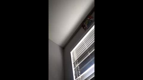 bbhampton12 online show from April 12, 10:03 pm