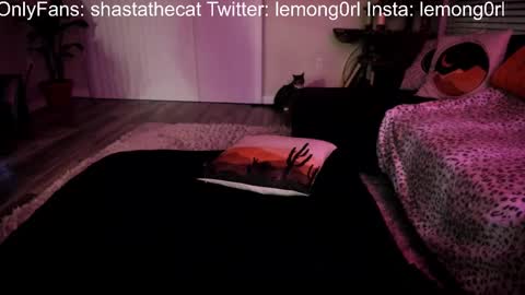 Shasta online show from February 27, 7:41 am