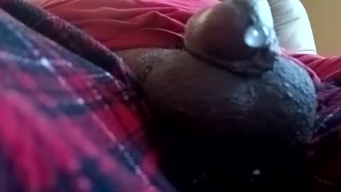 bcfalcon69 online show from June 13, 11:20 am