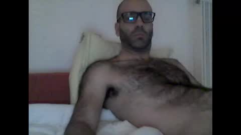 bear14250949 online show from November 14, 10:28 am