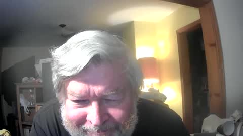 bear online show from June 25, 1:46 am
