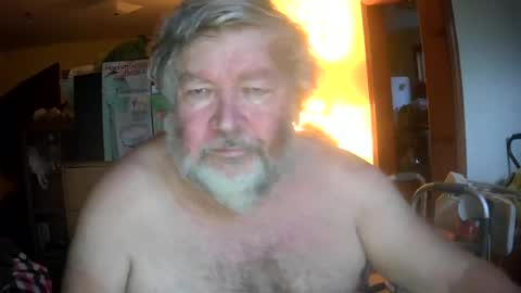 bear online show from June 28, 1:12 am