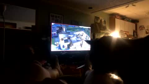 beast250420 online show from March 21, 9:47 am