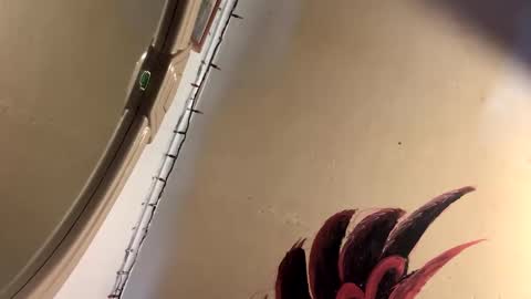 Mikes room online show from April 2, 9:55 pm