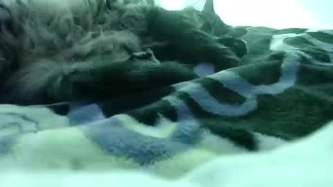 Snapshot of beetee77 chatting on October 18, 3:44 am Beetee77 online show from October 18, 3:44 am