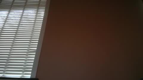 belgianordenary online show from February 19, 8:13 am