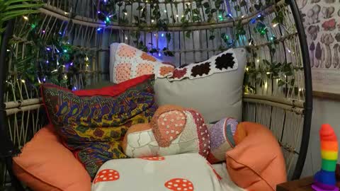 Willow online show from November 24, 12:26 pm