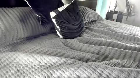 beranco online show from November 6, 8:23 pm