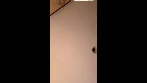 bgiamba21 online show from February 13, 8:17 am