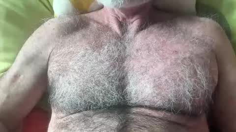 big bush online show from July 5, 1:31 am