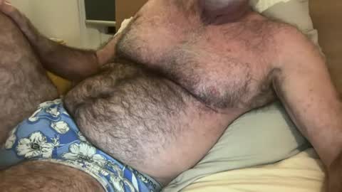big bush online show from June 29, 8:44 am