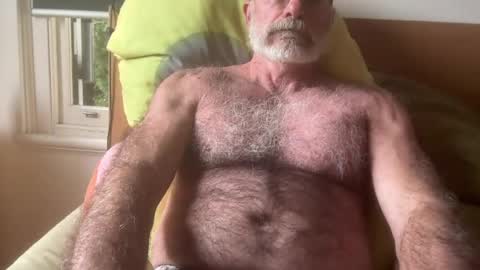 big bush online show from July 17, 2:35 am