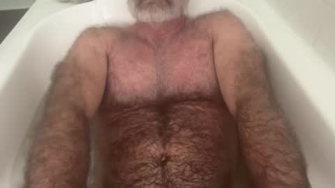 big bush online show from August 2, 4:58 am