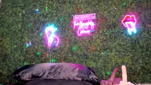 bigbuttsarena online show from May 2, 12:27 am