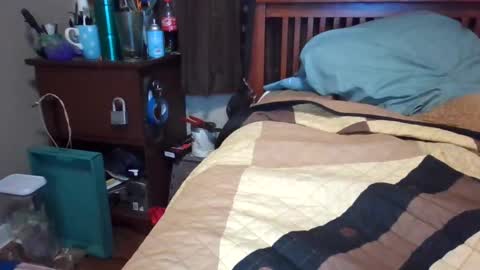 BigDaddy199030 online show from February 13, 2:34 am