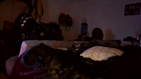 bigdickpapishampoo online show from February 4, 6:50 am