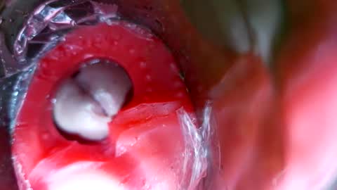 bigmoneycorey online show from March 12, 7:39 pm