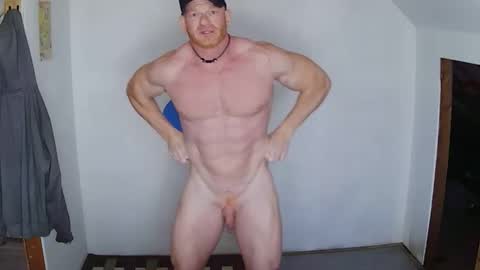 Jarvis online show from November 15, 6:31 pm