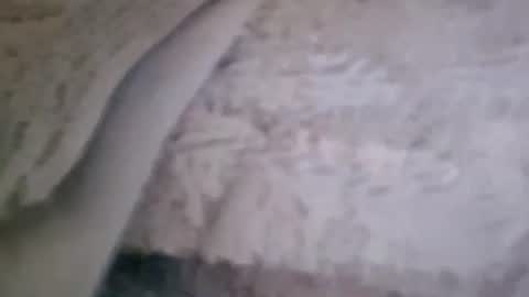 bigsssnake69 online show from July 9, 10:47 pm