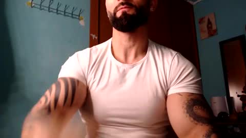 BigStallion online show from February 8, 12:06 am