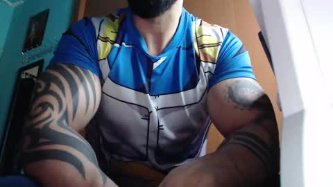 BigStallion online show from November 10, 11:51 pm