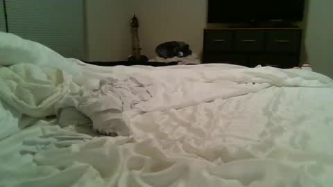 Special Big online show from March 11, 7:35 am