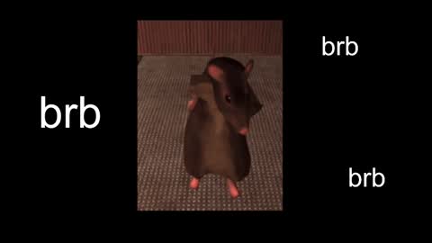  Black Kittie    Wednesday - 1300 - 1900 GMT help me get 100 thumbs up online show from February 13, 11:06 am