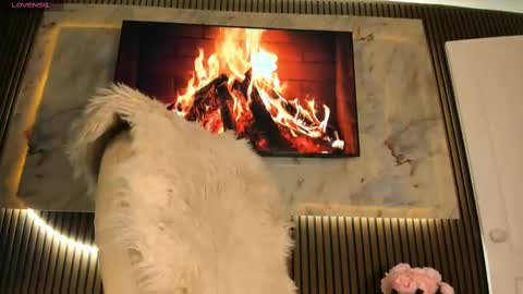 Karina online show from September 17, 1:31 am