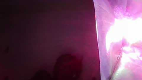 blackqueen888 online show from March 9, 1:35 am