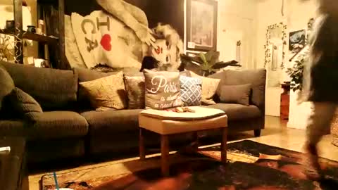 blackriches96 online show from February 14, 8:50 am