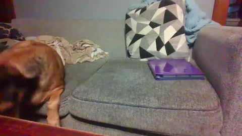 Snapshot of blaw_1321 chatting on September 21, 10:03 pm blaw_1321 online show from September 21, 10:03 pm