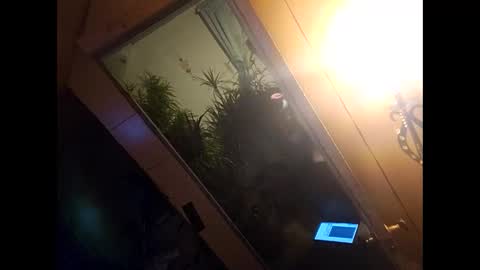 Snapshot of blondebellaaa3 chatting on December 10, 11:08 pm Gia  online show from December 10, 11:08 pm