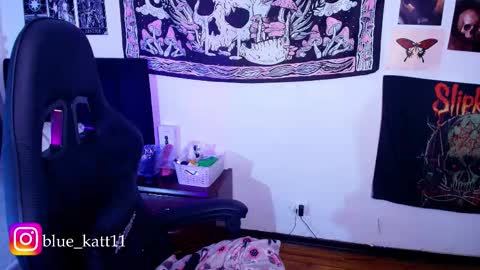 blue katt online show from March 10, 1:37 pm