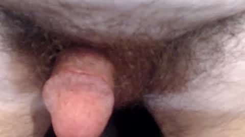 bobswan online show from July 13, 5:16 pm