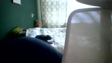 bomba8111 online show from January 20, 11:45 am