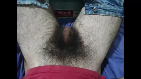 Im Bom - Tip if You Liked my Hairy Body - Private Show is Open - Read more about me in the bio below online show from November 27, 1:19 pm