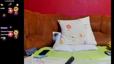 Nell online show from July 16, 7:00 am