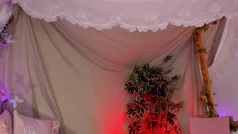   online show from November 22, 12:53 am