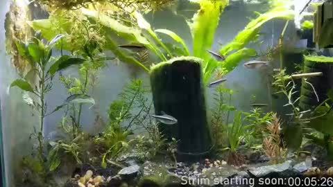 Booker Baxton online show from November 4, 4:03 am