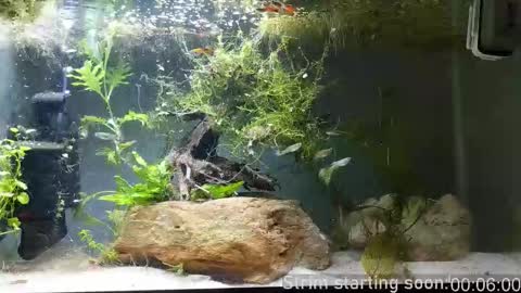 Booker Baxton online show from November 12, 4:04 am